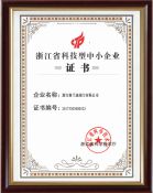 Technology Enterprise Certificate